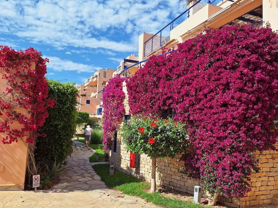 Sea View Cozy Apartment La Tanita Mojacar Ngoại thất bức ảnh